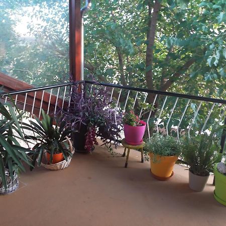 Apartmani Corleone Bilice Zewnętrze zdjęcie