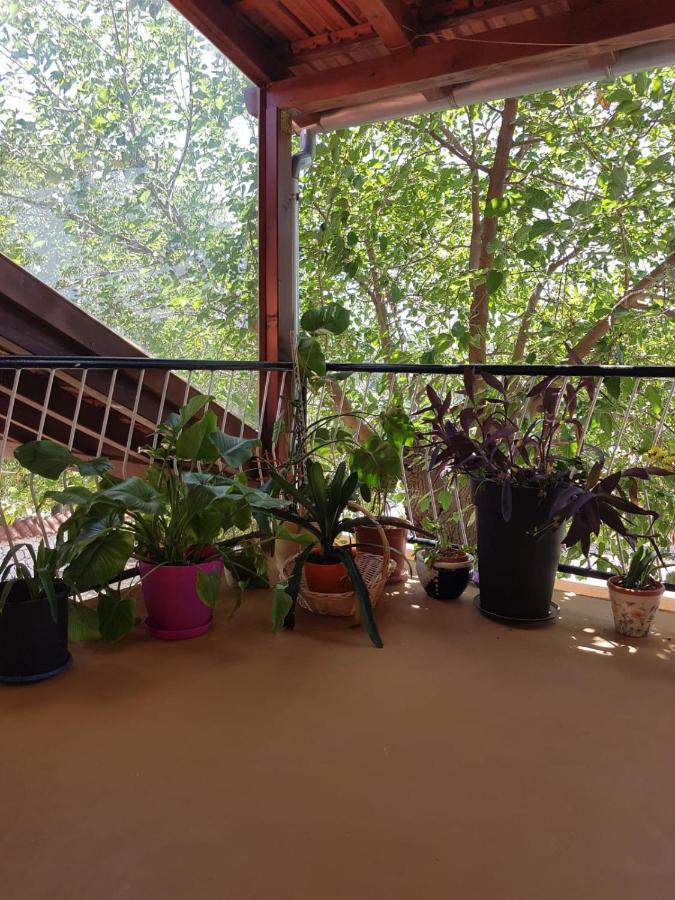 Apartmani Corleone Bilice Zewnętrze zdjęcie